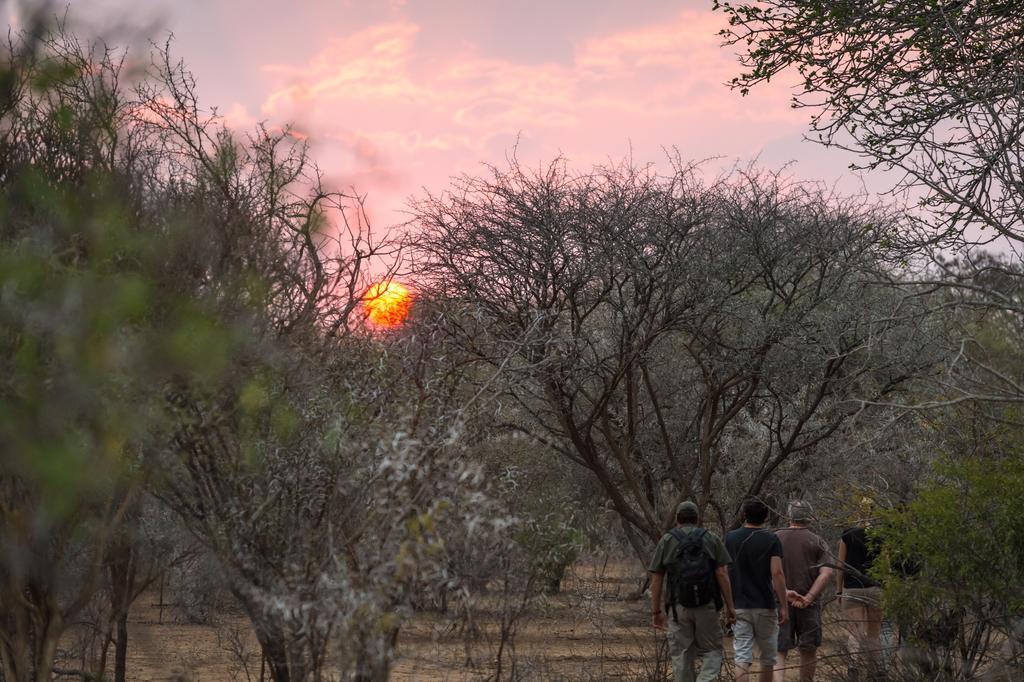 Klaserie River Safari Lodge Hoedspruit Exteriér fotografie