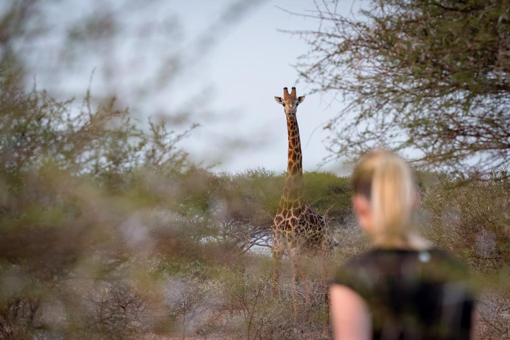 Klaserie River Safari Lodge Hoedspruit Exteriér fotografie