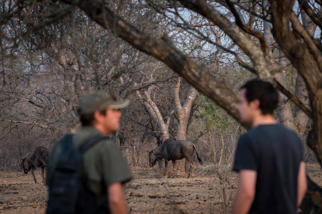 Klaserie River Safari Lodge Hoedspruit Exteriér fotografie